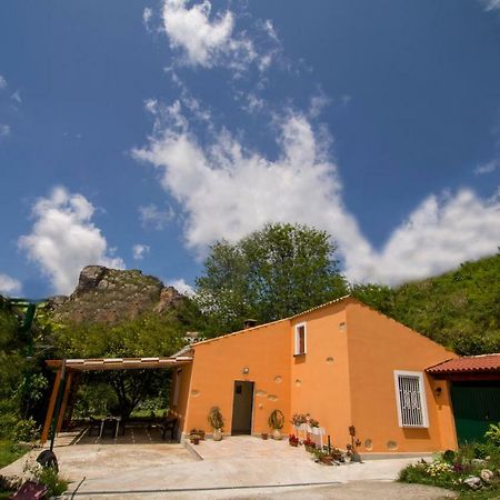 B&B Casa Vacanze Benvenuti Al Sud Aiello Calabro Kültér fotó